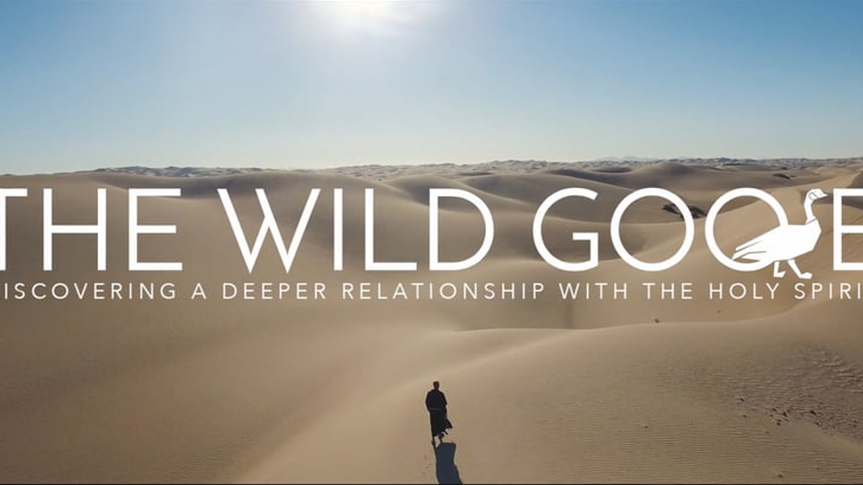 Wild Goose Espanol
